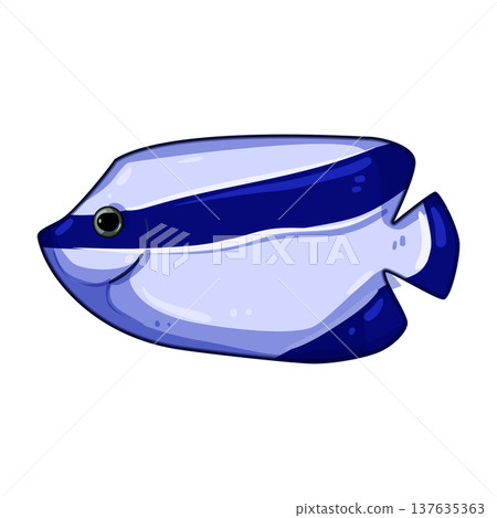 angel exotic fish cartoon vector illustration 137635363