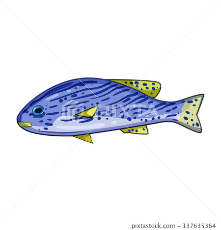 discus exotic fish cartoon vector illustration 137635364