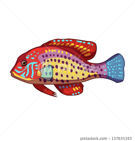 platy decorative fish cartoon vector illustration platy decorative fish cartoon vector illustration 137635383