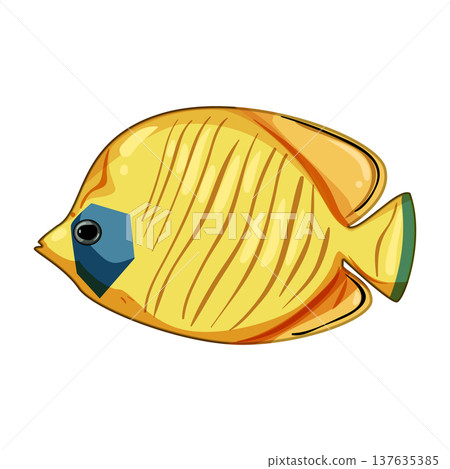koi decorative fish cartoon vector illustration 137635385