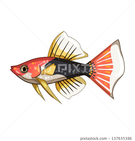 discus decorative fish cartoon vector illustration discus decorative fish cartoon vector illustration 137635386