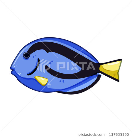 betta decorative fish cartoon vector illustration betta decorative fish cartoon vector illustration 137635390