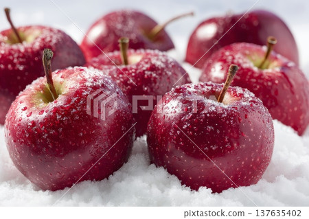Beautiful red apples on white snow 137635402