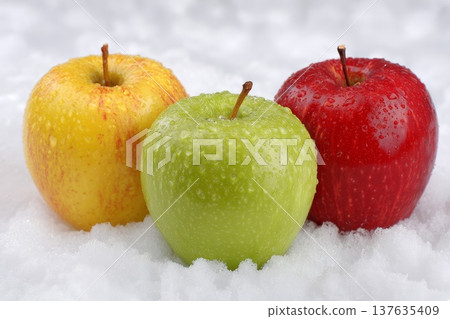 Beautiful red, yellow and green apples on white snow Beautiful red, yellow and green apples on white snow 137635409