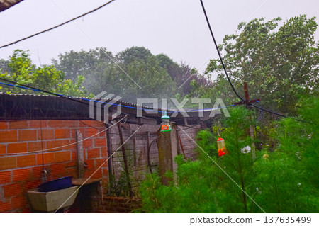 Rainy day in Santa Clara del Mar , Buenos Aires province , Argentina  137635499