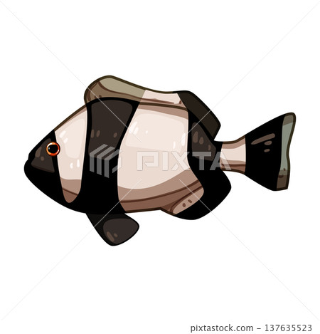 vibrant clown fish cartoon vector illustration vibrant clown fish cartoon vector illustration 137635523