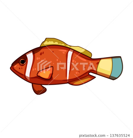 species clown fish cartoon vector illustration species clown fish cartoon vector illustration 137635524