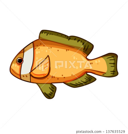 anemone clown fish cartoon vector illustration anemone clown fish cartoon vector illustration 137635529