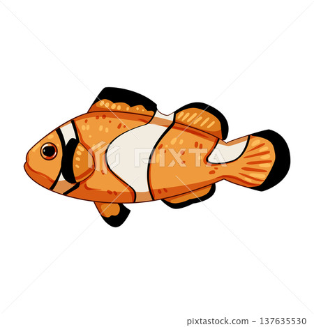 tropical clown fish cartoon vector illustration 137635530