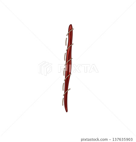 nonabsorbable suture cartoon vector illustration nonabsorbable suture cartoon vector illustration 137635903