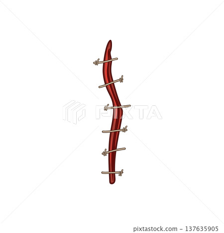 thread suture cartoon vector illustration thread suture cartoon vector illustration 137635905