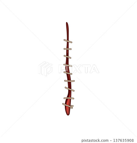 stitch suture cartoon vector illustration stitch suture cartoon vector illustration 137635908
