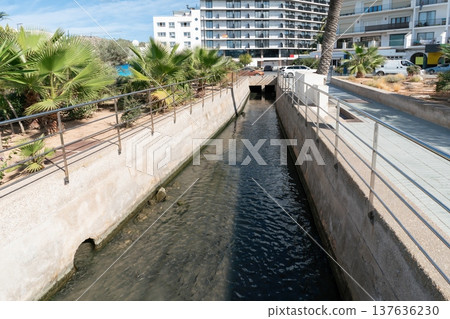 Urban water channel in Ibiza Spain with palms and apartments Urban water channel in Ibiza Spain with palms and apartments 137636230