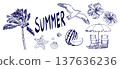 Hand-drawn summer motif illustration set 137636236