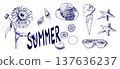Hand-drawn summer motif illustration set 137636237