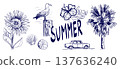 Hand-drawn summer motif illustration set 137636240