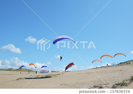 Young people enjoying paragliding in the Tottori sand dunes Young people enjoying paragliding in the Tottori sand dunes 137636359