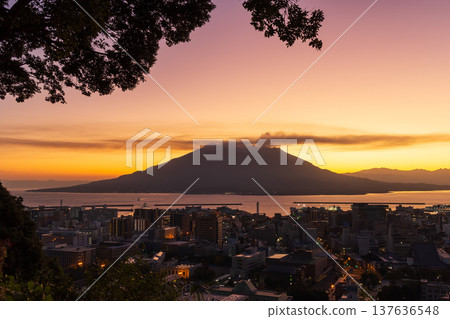 Autumn in Kagoshima City, Kagoshima Prefecture: A view of Sakurajima from Shiroyama Park at dawn. Autumn in Kagoshima City, Kagoshima Prefecture: A view of Sakurajima from Shiroyama Park at dawn. 137636548
