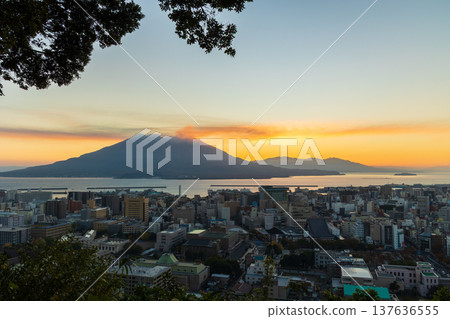 鹿兒島縣鹿兒島市的秋景-黎明時分從城山公園眺望櫻島 鹿兒島縣鹿兒島市的秋景-黎明時分從城山公園眺望櫻島 137636555
