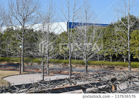 Kazusa No. 4 Park, Kimitsu City, Chiba Prefecture Kazusa No. 4 Park, Kimitsu City, Chiba Prefecture 137636576