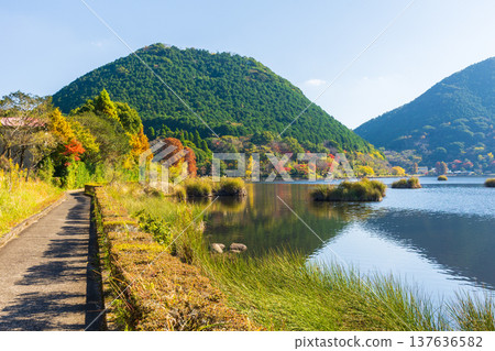 Autumn in Satsumasendai City, Kagoshima Prefecture: Imuta Pond and Imuta Fuji (Iimoriyama) with their vibrant autumn foliage. 137636582