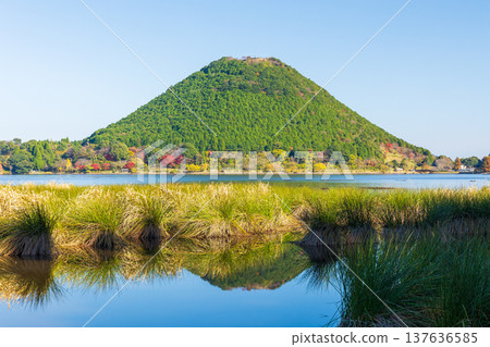 Autumn in Satsumasendai City, Kagoshima Prefecture: Imuta Pond and Imuta Fuji (Iimoriyama) with their vibrant autumn foliage. 137636585