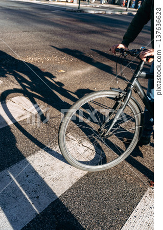 Biker stops at crosswalk during midday in a city street with shadows cast on pavement Biker stops at crosswalk during midday in a city street with shadows cast on pavement 137636628