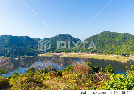 Autumn leaves at Imuta Pond in Satsumasendai City, Kagoshima Prefecture 137636645