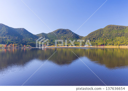 Autumn leaves at Imuta Pond in Satsumasendai City, Kagoshima Prefecture 137636654