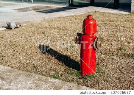 Fire hydrant stands on dry grass near a sidewalk in an urban environment during daytime 137636687