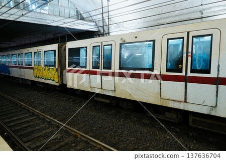 Subway train at a station during the day with visible graffiti on the side Subway train at a station during the day with visible graffiti on the side 137636704