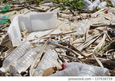 Plastic bottle waste washed ashore on the beach. The marine plastic pollution problem. 137636739