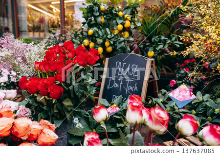 Roses and lemons at a busy flower shop in the afternoon sun Roses and lemons at a busy flower shop in the afternoon sun 137637085