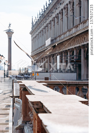 Seagull flying near historic buildings in Venice during the daytime 137637135