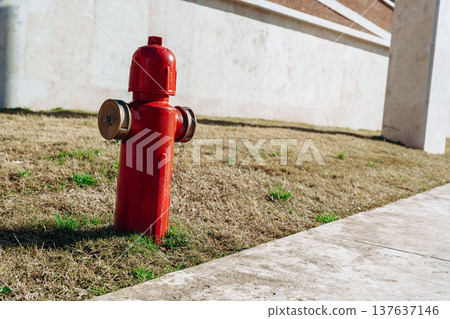 Fire hydrant stands next to grass on a sidewalk in a city during daylight hours Fire hydrant stands next to grass on a sidewalk in a city during daylight hours 137637146