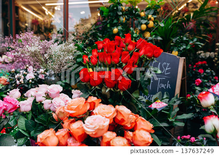 Flowers at a market with red roses, orange roses, and green plants in the afternoon 137637249