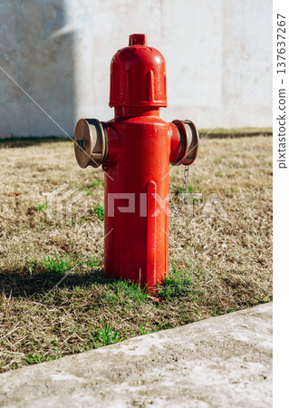 Fire hydrant stands on grass near concrete surface in urban area during daytime 137637267