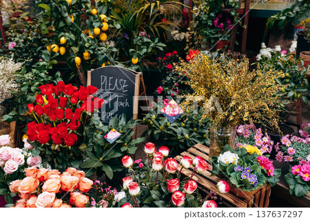 Flower stand with colorful blooms and a sign asking not to touch during a market day 137637297