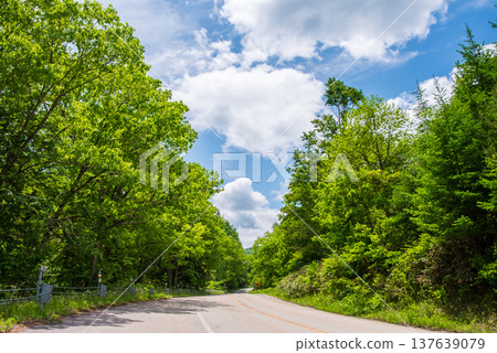 春暖花開的「瀨良木街」（岐阜縣高山市清見町） 137639079