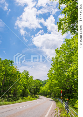 "Seseragi Kaido" in the fresh green season (Kiyomi Town, Takayama City, Gifu Prefecture) "Seseragi Kaido" in the fresh green season (Kiyomi Town, Takayama City, Gifu Prefecture) 137639100