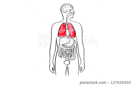 Lung disease concept 137639303