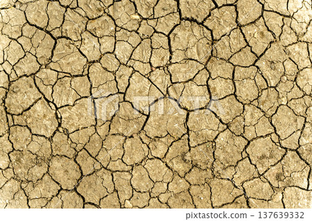 Parched Cracked Soil Texture Under Intense Sunlight. High quality photo Parched Cracked Soil Texture Under Intense Sunlight. High quality photo 137639332