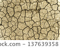 Parched Cracked Soil Texture Under Intense Sunlight. High quality photo 137639358