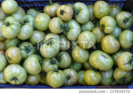Fresh Green Tomatoes in Wooden Crates at Local Farmers Market. High quality photo 137639370
