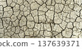 Parched Cracked Soil Texture Under Intense Sunlight. High quality photo 137639371