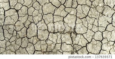 Parched Cracked Soil Texture Under Intense Sunlight. High quality photo Parched Cracked Soil Texture Under Intense Sunlight. High quality photo 137639371