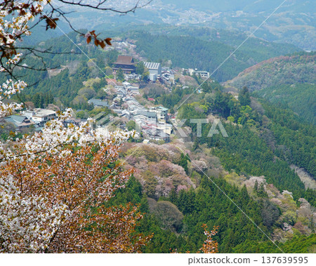 Yoshinoyama Sakura Nara Yoshinoyama Sakura Nara 137639595
