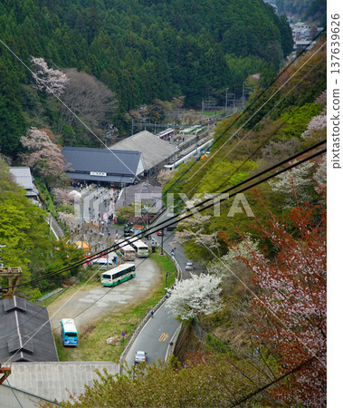 Yoshinoyama Sakura Nara Yoshinoyama Sakura Nara 137639626