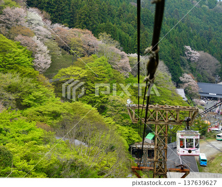 Yoshinoyama Sakura Nara Yoshinoyama Sakura Nara 137639627