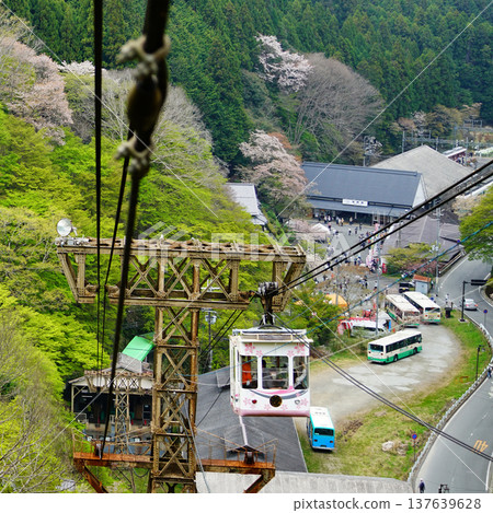 奈良吉野山櫻 137639628